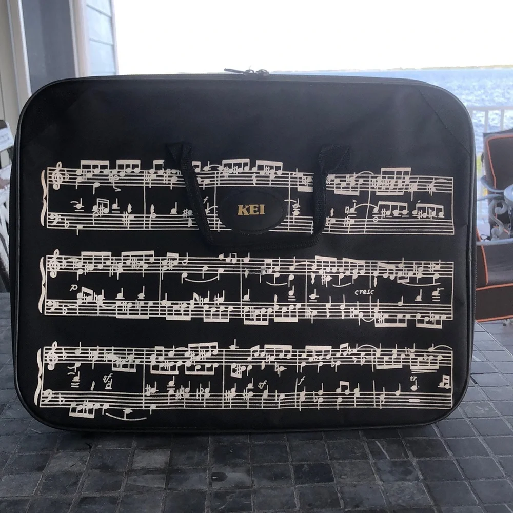 MUSICIANS LAPTOP CARRY CASE • ZIP AROUND STYLE • VINYL • 16” x 12”